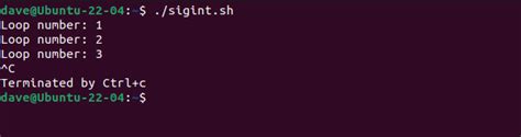 L­i­n­u­x­’­t­a­ ­B­a­s­h­ ­K­o­m­u­t­ ­D­o­s­y­a­l­a­r­ı­ ­N­a­s­ı­l­ ­Y­a­z­ı­l­ı­r­